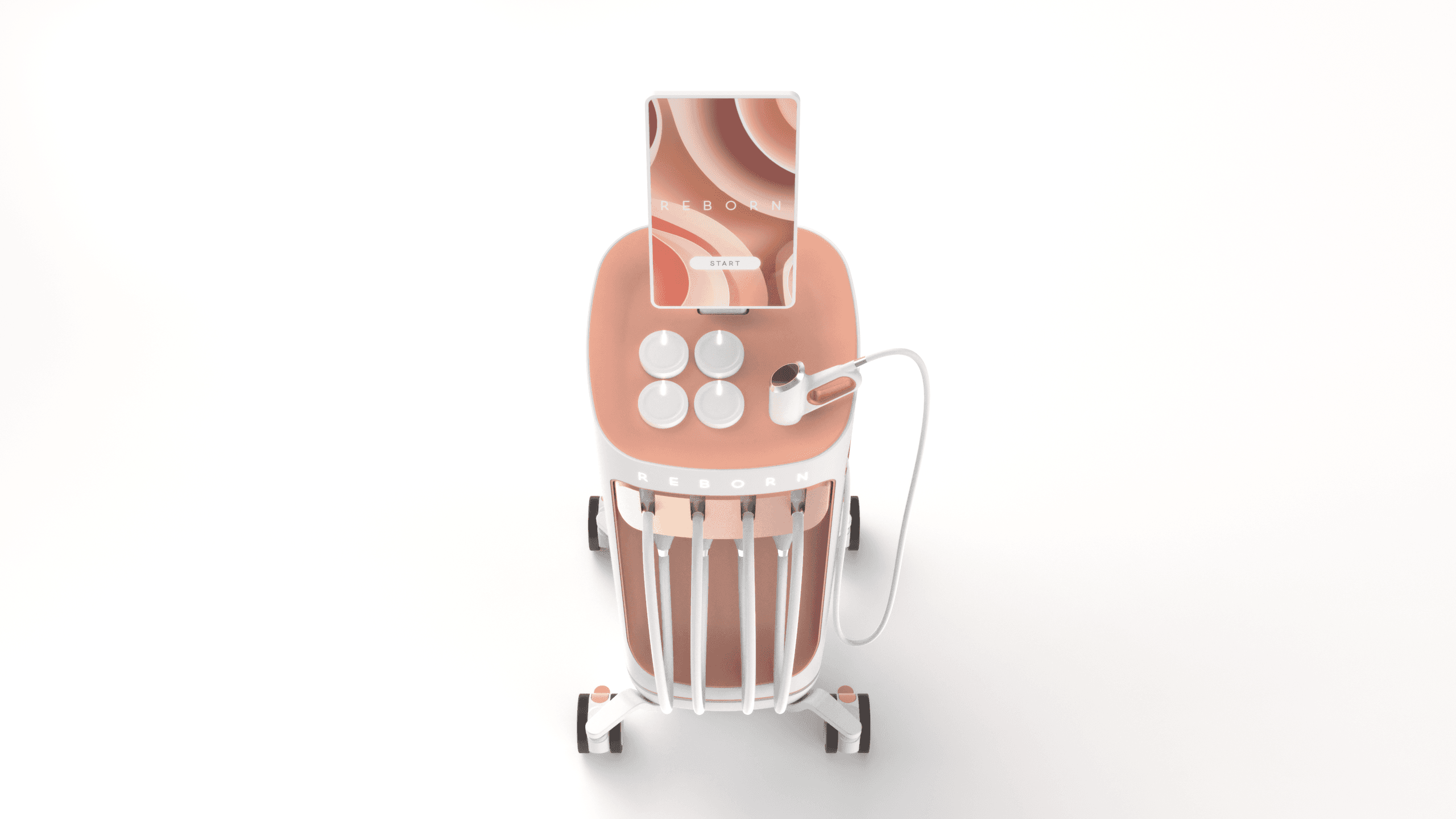 New ReBorn 3